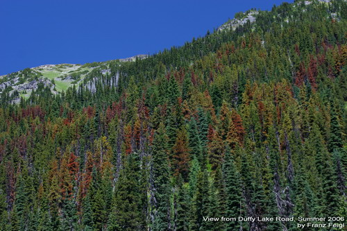 View from Duffy Lake Road, Summer 2006, by Franz Feigl